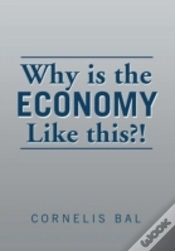 Capa do artigo Why Is The Economy Like This?!