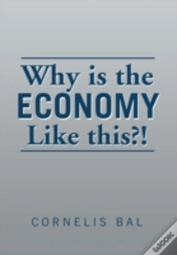 Capa do artigo Why Is The Economy Like This?!