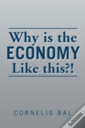 Capa do artigo Why Is The Economy Like This?!