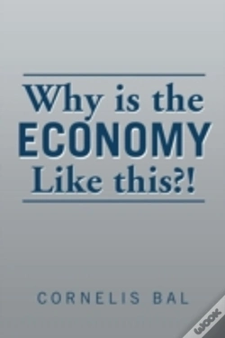 Capa do artigo Why Is The Economy Like This?!