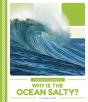 Why Is The Ocean Salty? - Preview