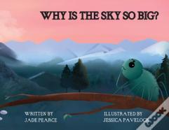 Why Is The Sky So Big?