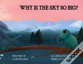 Why Is The Sky So Big?