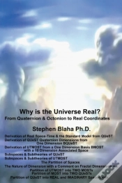 Capa do artigo Why Is The Universe Real? From Quaternion & Octonion To Real Coordinates