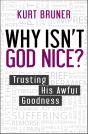 Why Isn'T God Nice? - Preview