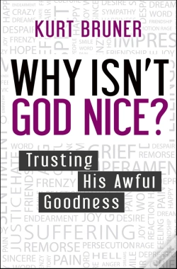 Capa do artigo Why Isn'T God Nice?