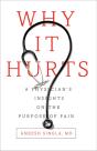 Why It Hurts - Preview