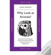 Capa do artigo Why Look At Animals?