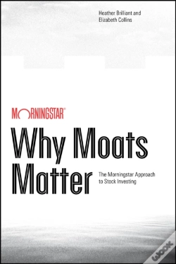 Capa do artigo Why Moats Matter