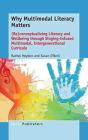 Why Multimodal Literacy Matters - Preview