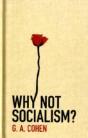 Why Not Socialism? - Preview