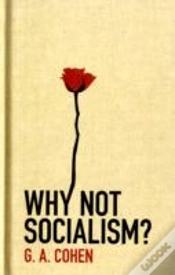 Capa do artigo Why Not Socialism?