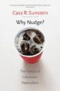 Why Nudge? - Preview
