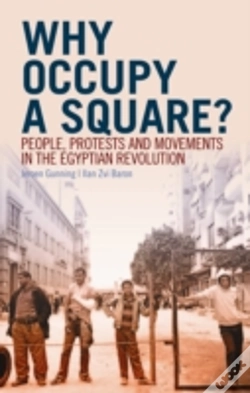 Capa do artigo Why Occupy A Square?