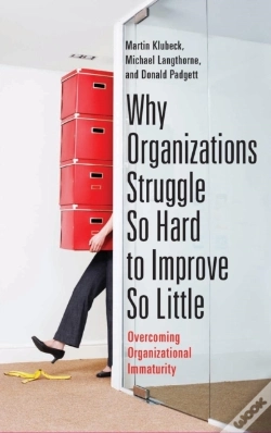 Capa do artigo Why Organizations Struggle So Hard To Improve So Little