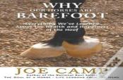 Why Our Horses Are Barefoot