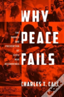 Why Peace Fails