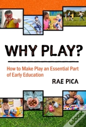 Capa do artigo Why Play?