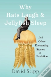 Capa do artigo Why Rats Laugh And Jellyfish Sleep