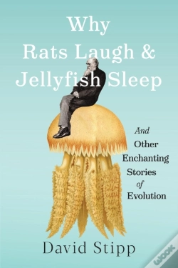 Capa do artigo Why Rats Laugh And Jellyfish Sleep