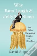 Why Rats Laugh And Jellyfish Sleep
