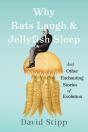 Why Rats Laugh And Jellyfish Sleep - Preview