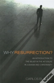 Capa do artigo Why Resurrection?