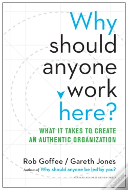 Capa do artigo Why Should Anyone Work Here?