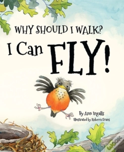 Capa do artigo Why Should I Walk I Can Fly