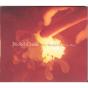 Why Should the Fire Die? - CD - Preview
