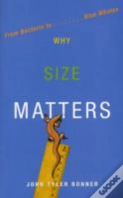 Capa do artigo Why Size Matters