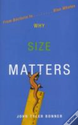 Capa do artigo Why Size Matters