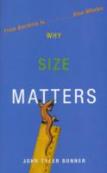Why Size Matters