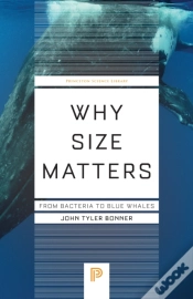 Capa do artigo Why Size Matters