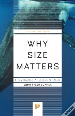 Capa do artigo Why Size Matters