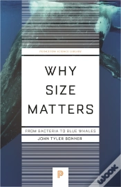 Capa do artigo Why Size Matters
