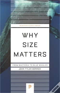 Capa do artigo Why Size Matters