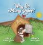 Why So Many Rules? - Preview