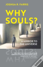 Capa do artigo Why Souls?