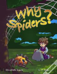 Why Spiders?