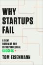 Why Startups Fail - Preview