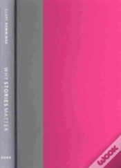 Capa do artigo Why Stories Matter