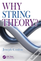 Why String Theory?