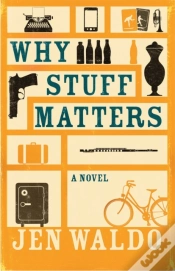 Capa do artigo Why Stuff Matters
