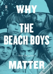 Capa do artigo Why The Beach Boys Matter