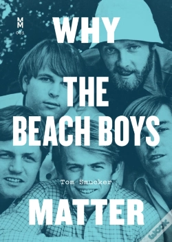 Capa do artigo Why The Beach Boys Matter