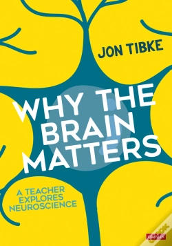 Capa do artigo Why The Brain Matters