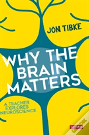 Capa do artigo Why The Brain Matters