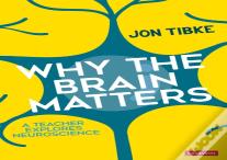 Why The Brain Matters