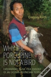Why The Porcupine Is Not A Bird